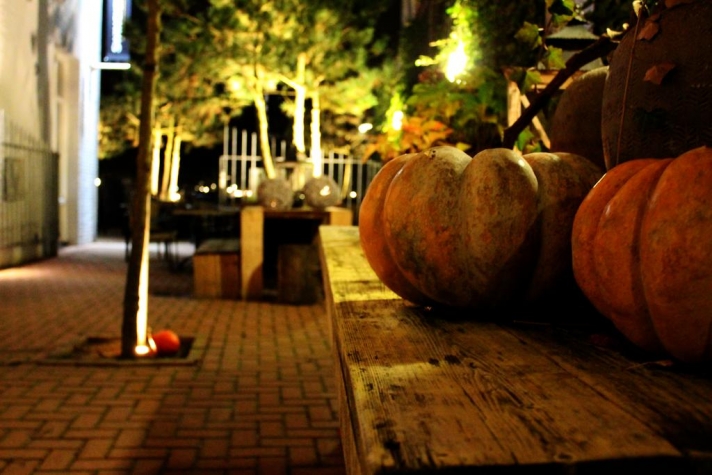 Parkhotel Auberge Vincent