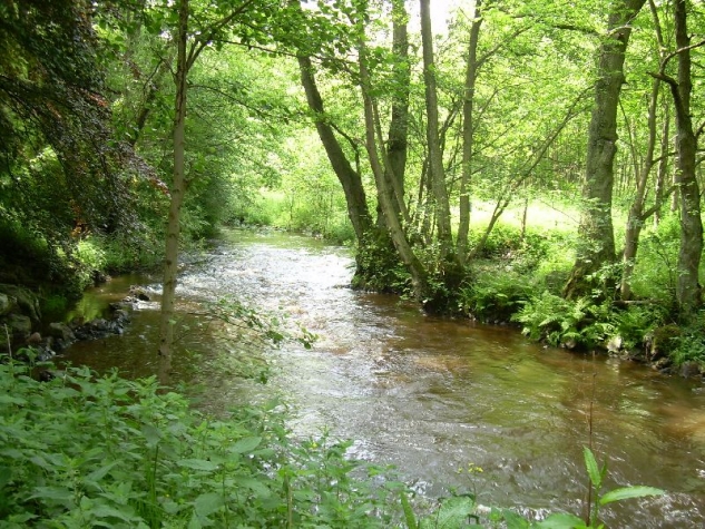 Parkhotel Villa des Effats