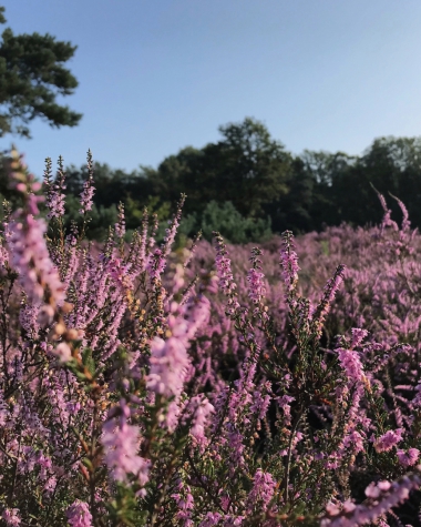 Hotel De Werelt Garderen