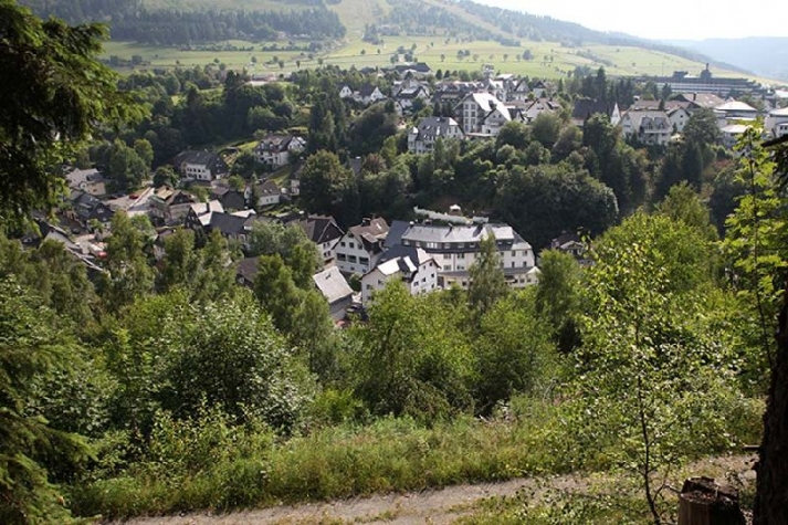 Wellness Hotel Waldecker Hof