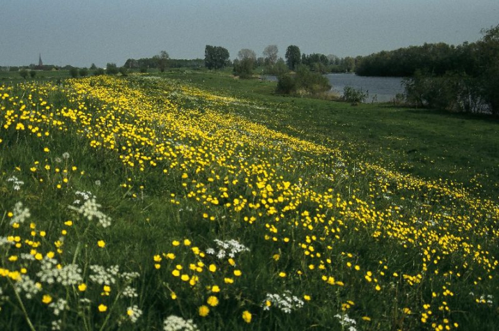 Buitengoed de Panoven