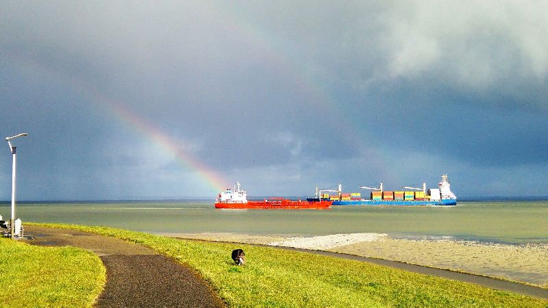 Golden Tulip Hotel L-Escaut