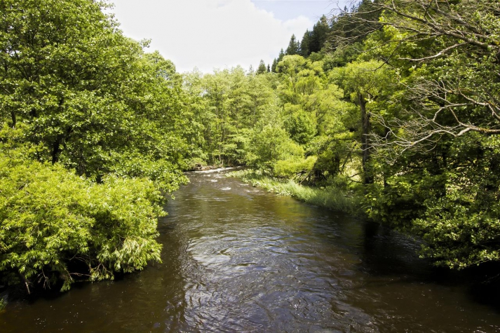 Hotel De Lange Man Monschau Eifel