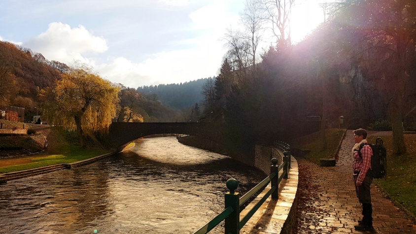 Logis Gourmet & Relax Hotel de la Sure