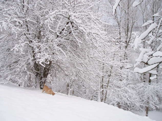 Boutique hotel Dufays