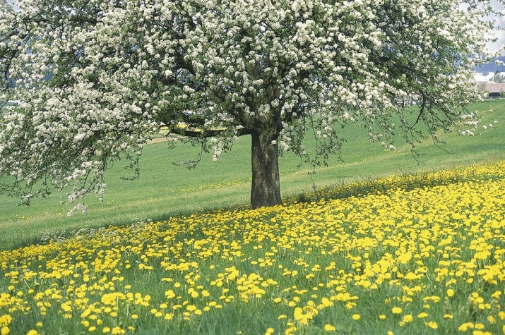 Romantik Parkhotel het Gulpdal
