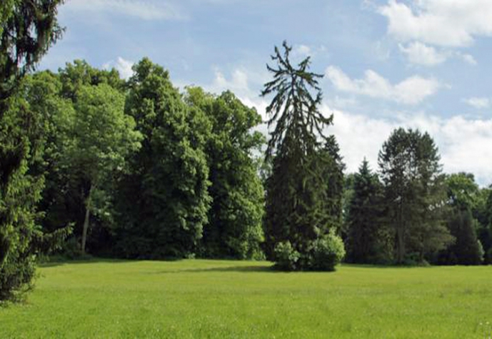 Château d'Hassonville