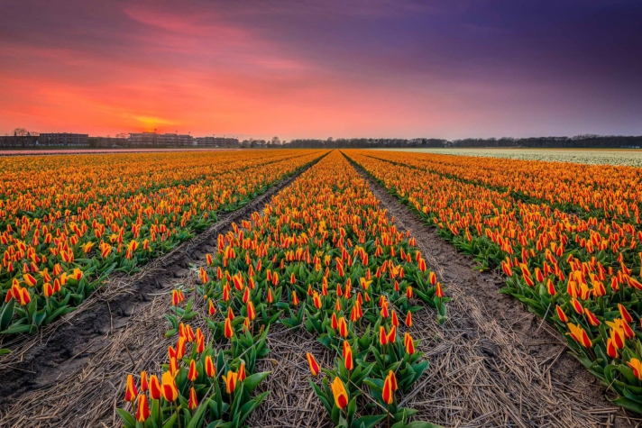 Two Brothers Hotel Astoria