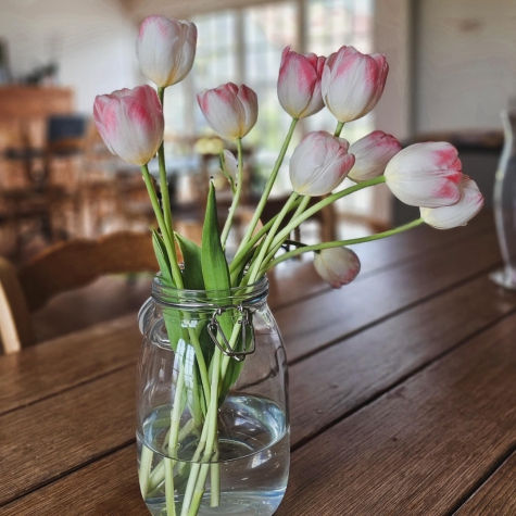 Boutique B&B Droomkerke