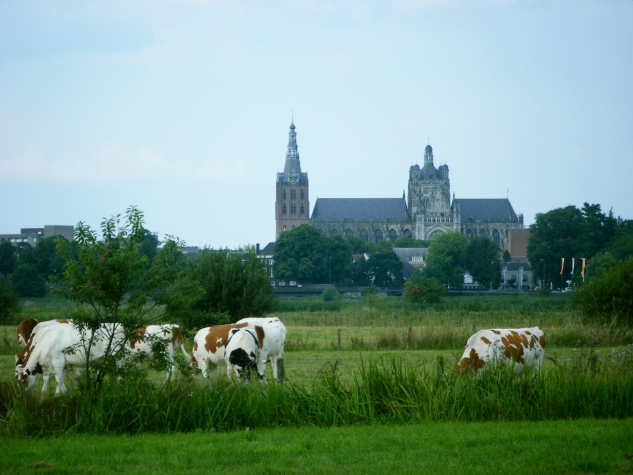 Hotel De Kruishoeve