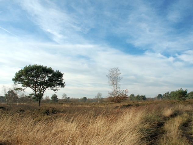 Fletcher Hotel-Restaurant De Kempen