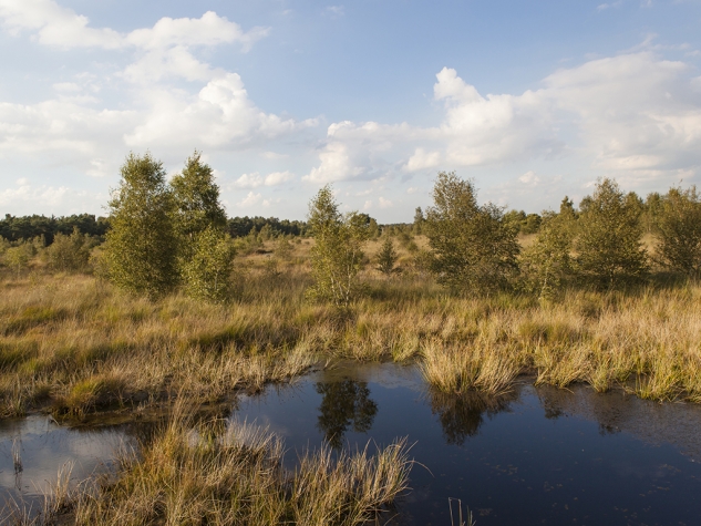 Fletcher Kloosterhotel Willibrordhaeghe