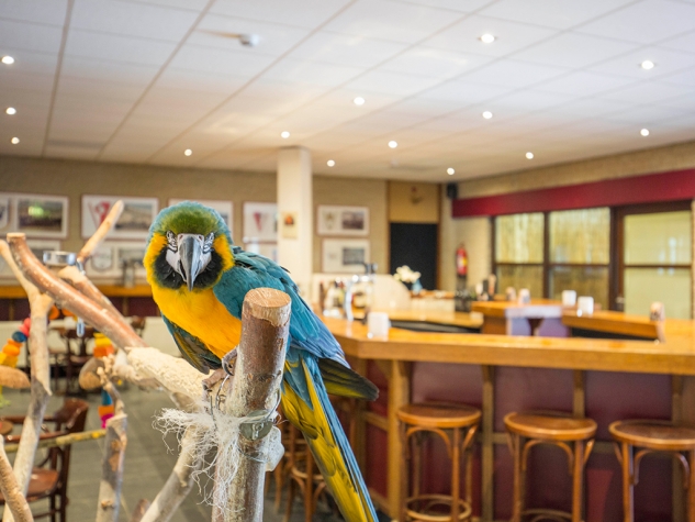 Fletcher Badhotel Callantsoog