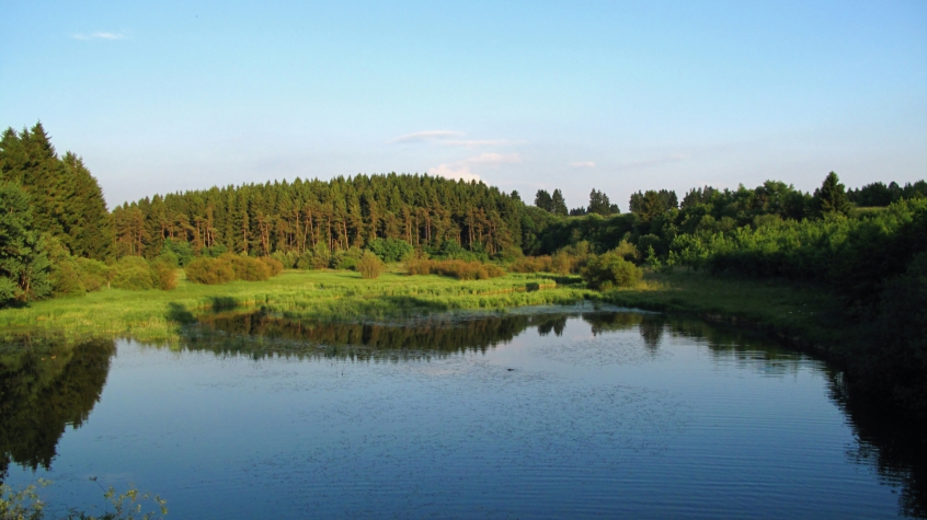 Wellness Hotel Seehof
