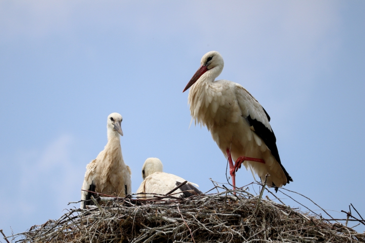 Fruitpark Hotel & Spa