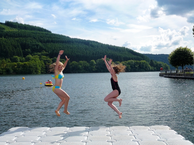 Logis Gourmet & Relax Hotel de la Sure