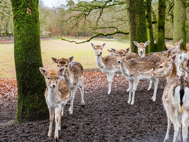Fletcher Hotel-Restaurant Oud London