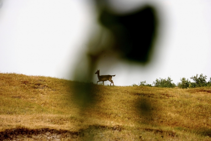 Boutique Hotel ter Zand - Handwritten Collection