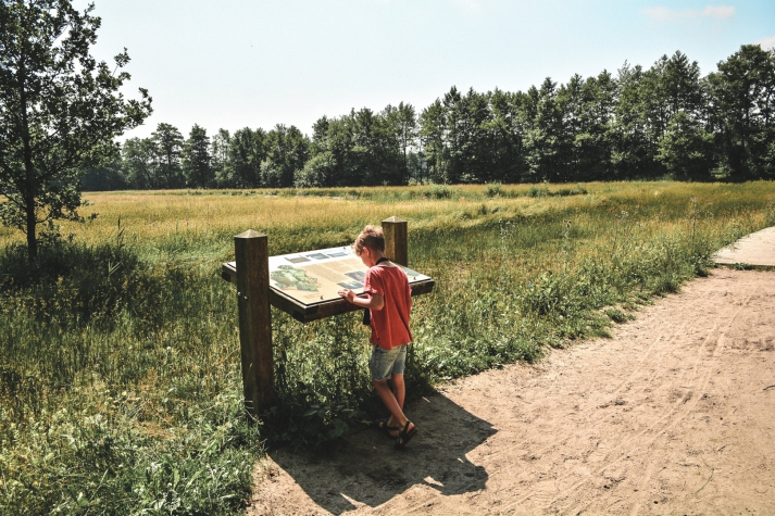 Witte Berken Natuurhotel