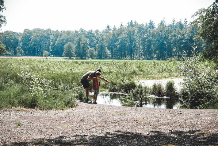 Witte Berken Natuurhotel