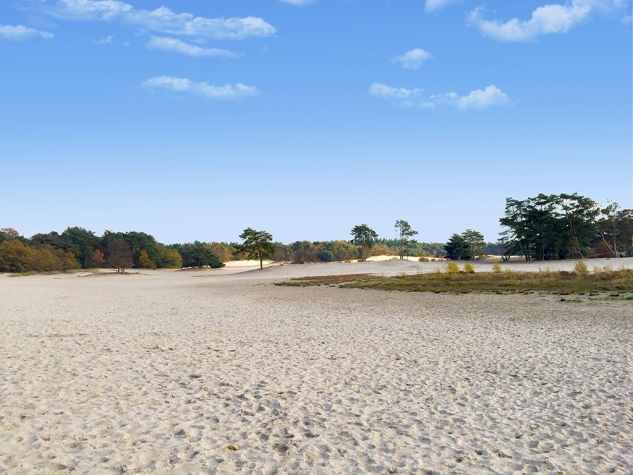 Fletcher Hotel-Restaurant Het Witte Huis