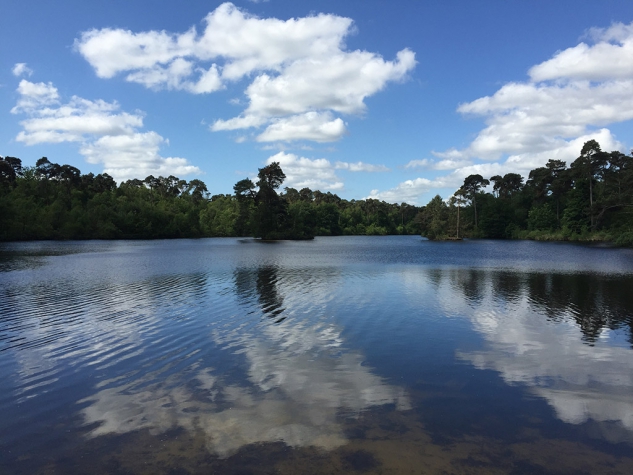 Fletcher Hotel-Restaurant Boschoord